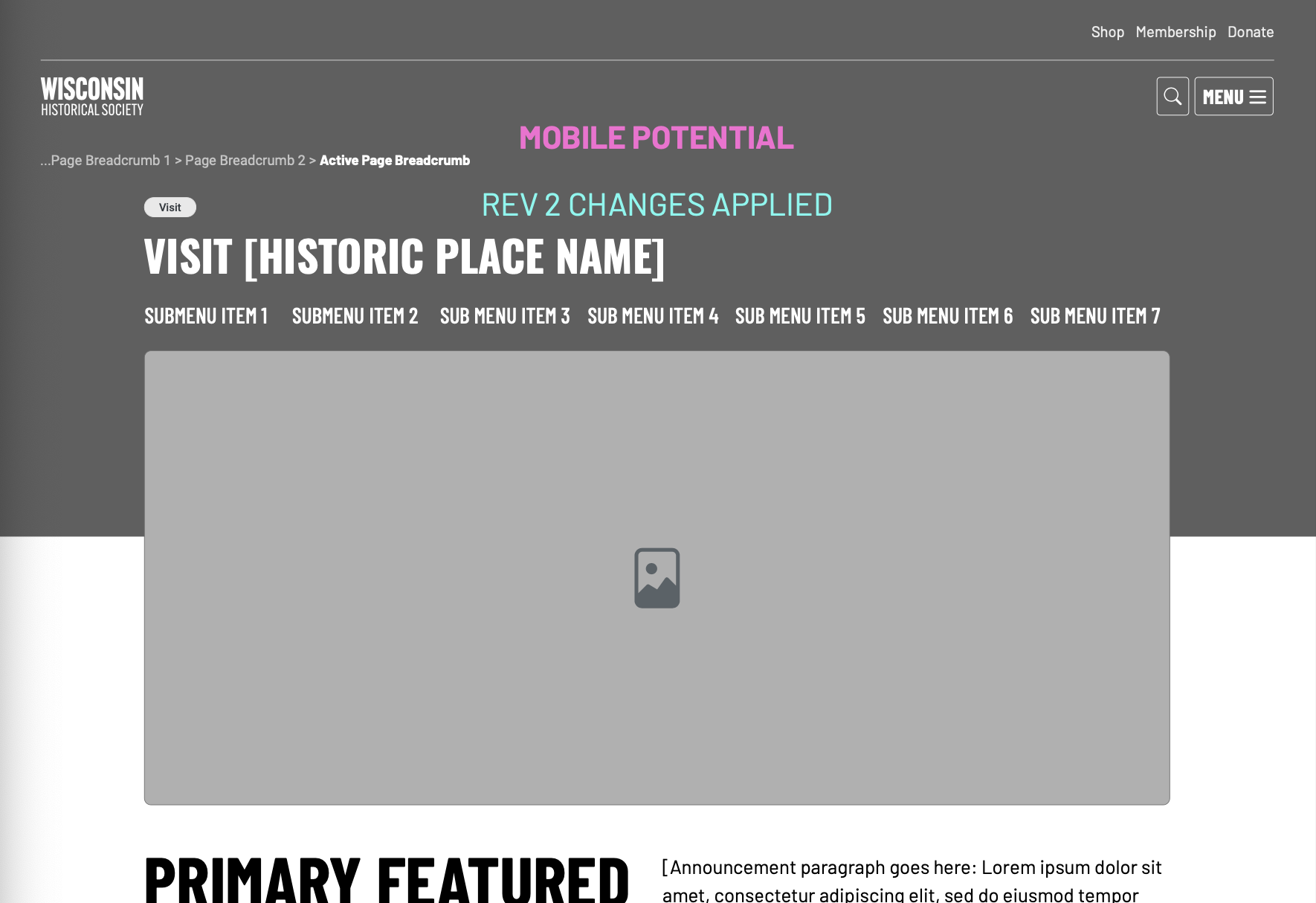 page wireframe